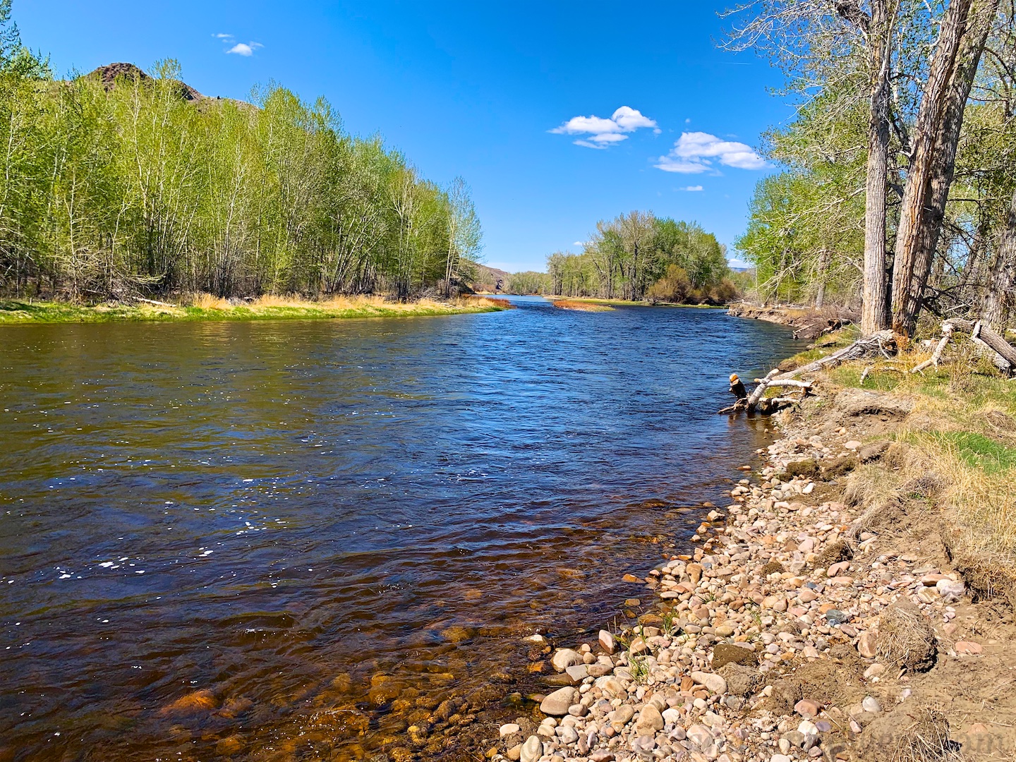 Bighole River, Melrose, Montana, USA