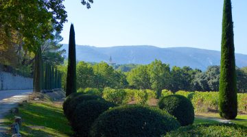 Chateau Canorgue, Bonnieux, Luberon, Provence, film location for 'A Good Year'
