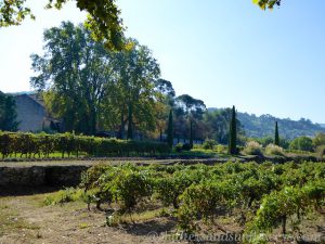 Chateau Canorgue, Bonnieux, Luberon, Vaucluse, Provence