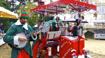 Christmas market in Luberon, Provence