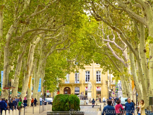 Aix-en-Provence's Tree lined avenues like Avenue Cours Mirabeau, which define Provence 