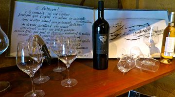 Luberon Wine tour at Domaine de Marie