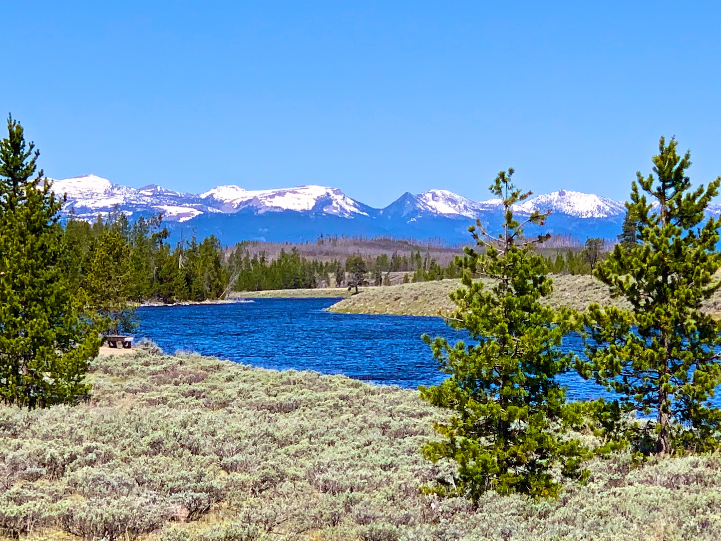 Edge of the Madison River, Yellowstone National Park, USA