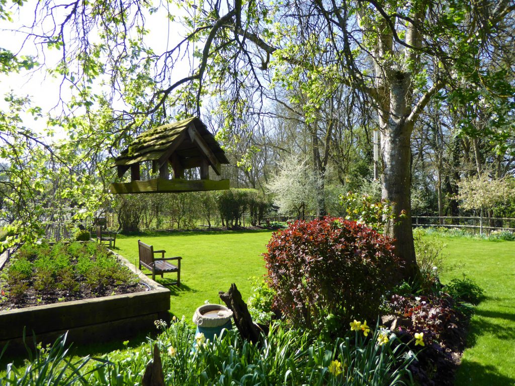 Springtime in England, an English spring garden