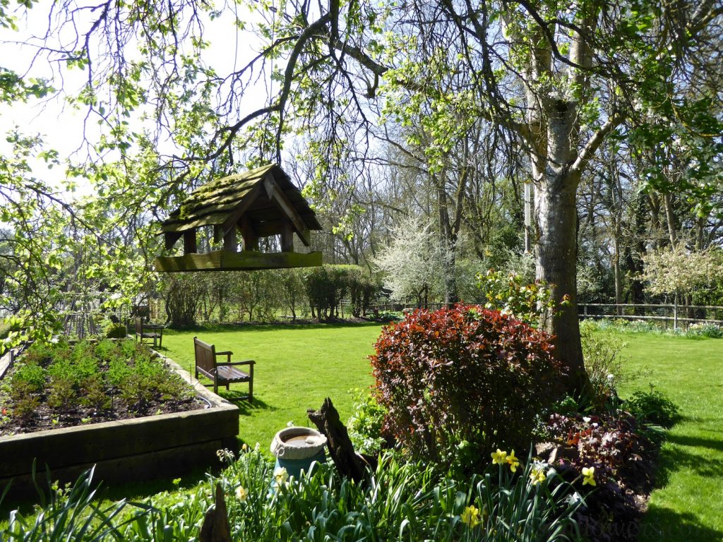 English garden in spring