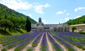 L'Abbaye Notre-Dame de Sénanque, Gordes, Luberon, Provence