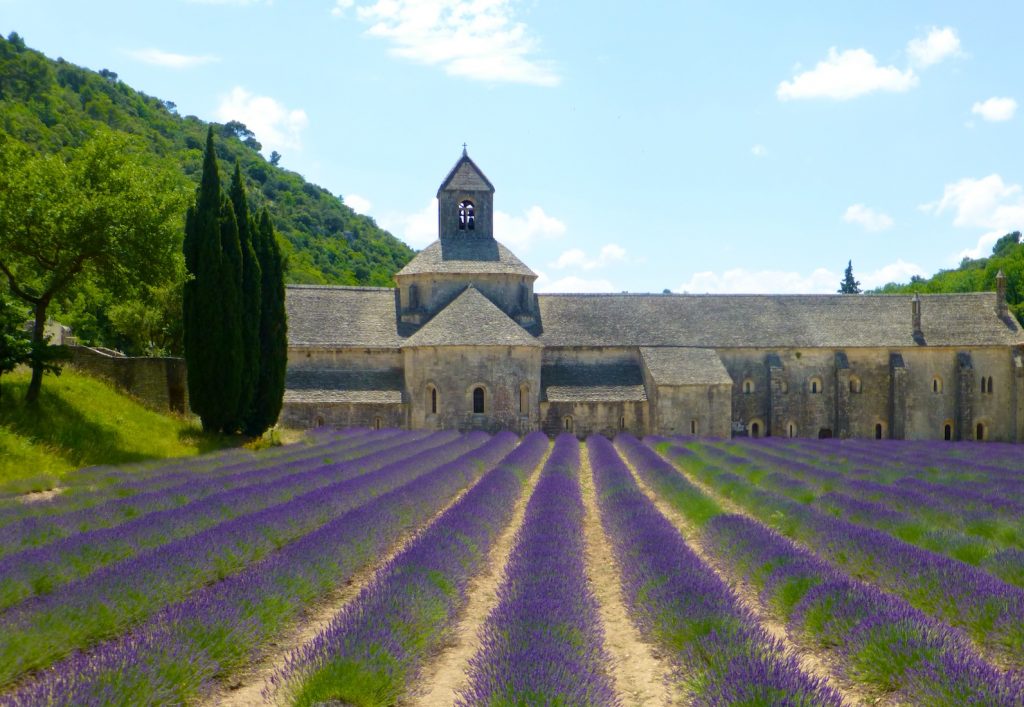 Lavender fields by Lavender at l'Abbaye Notre-Dame de Sénanque, Provence, France