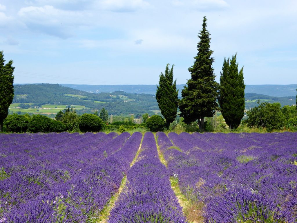 Things I love about Provence, Lavender in the Luberon Valley favorite things in Provence