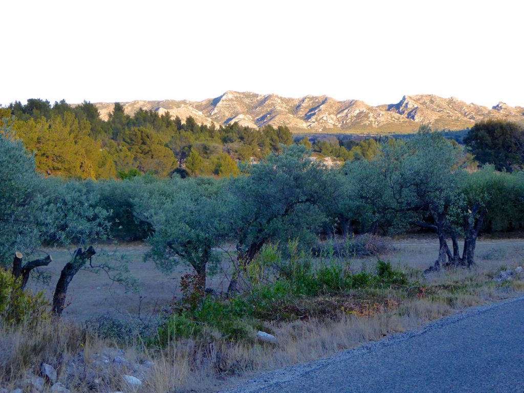 Les Alpilles et Plaine de la Crau, Bouches-du-Rhône Provence, France