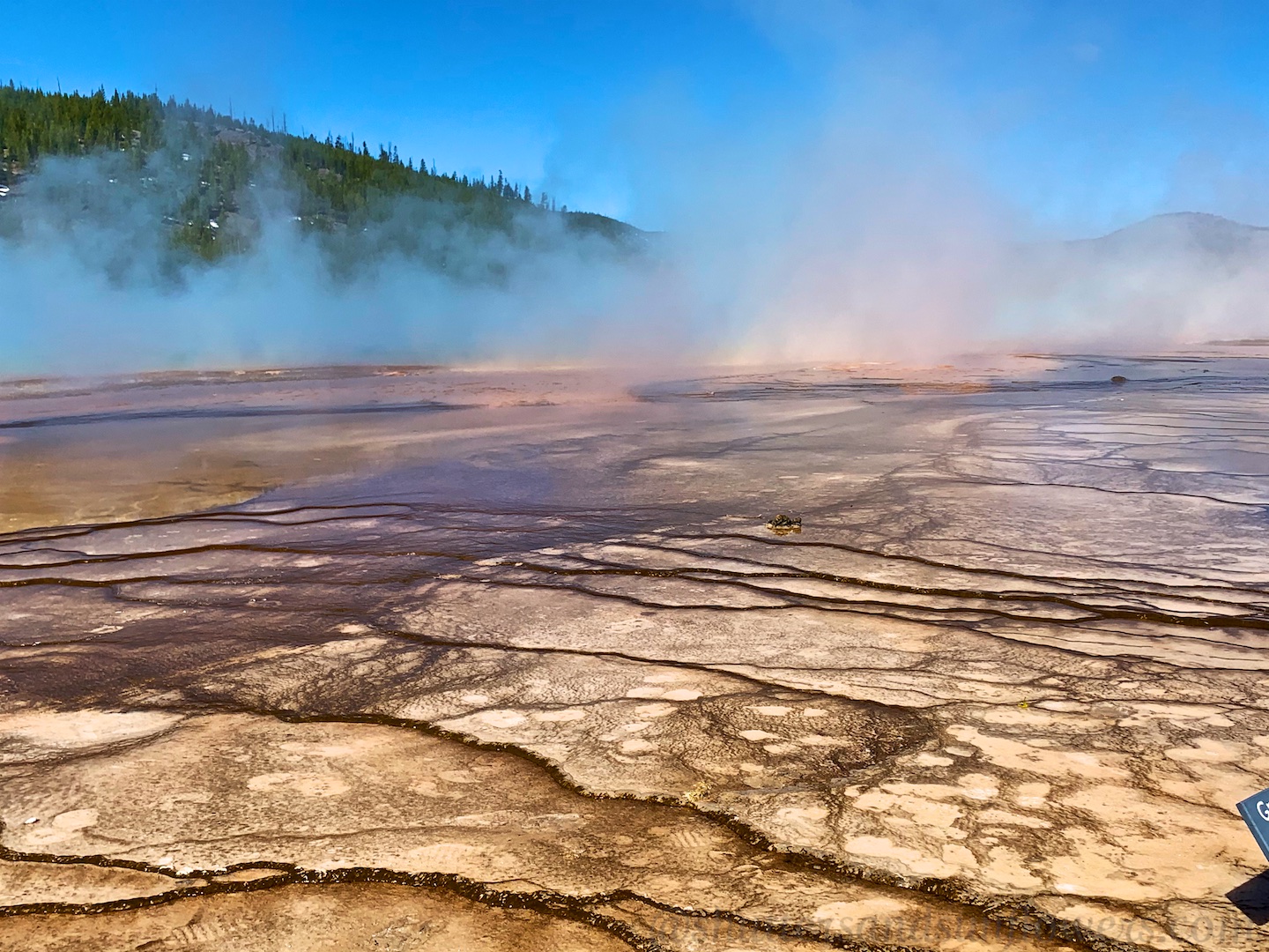 Microbial mat by Grand Prismatic Spring, Yellowstone National Park, USA