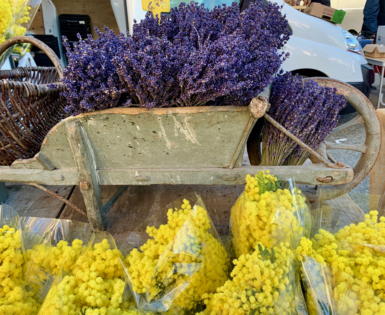  Springtime Mimosa in a Provence market