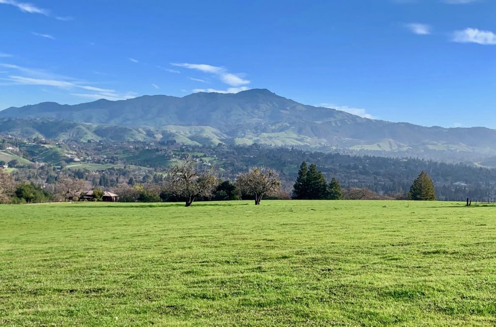 View of Mt Diablo, Danville, California