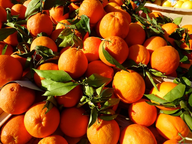 Oranges for sale in the market of Aix-en-Provence