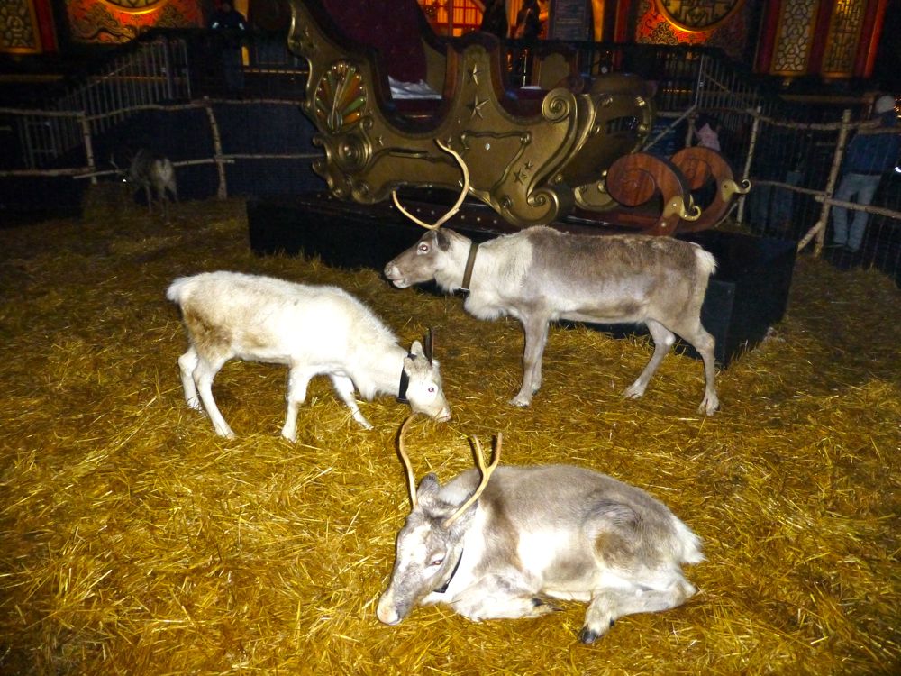 Santa's reindeer at Tivoli Gardens, Copenhagen, Denmark