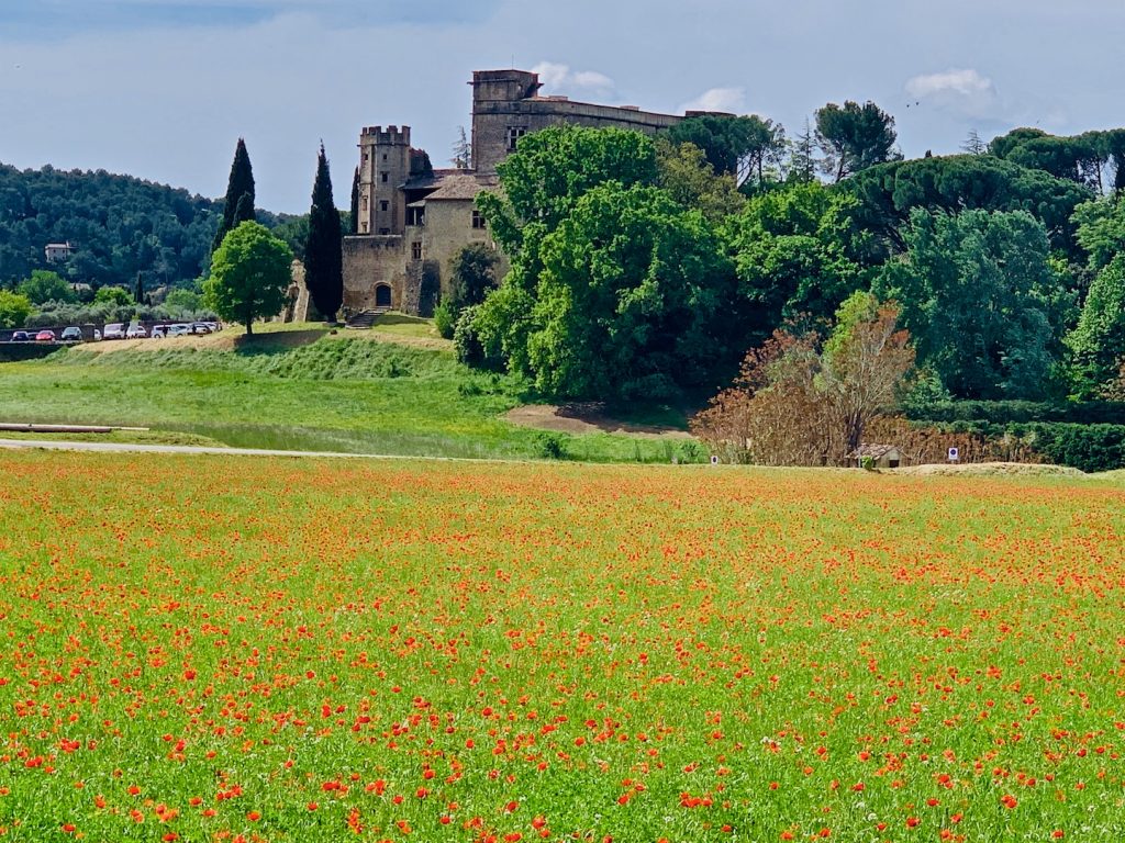 Poppies by the Château in Lourmarin