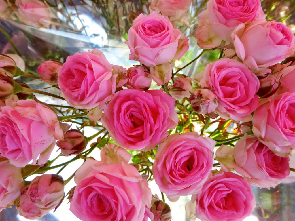 Roses in the Lourmarin market, Lourmarin, Luberon Vaucluse, Provence