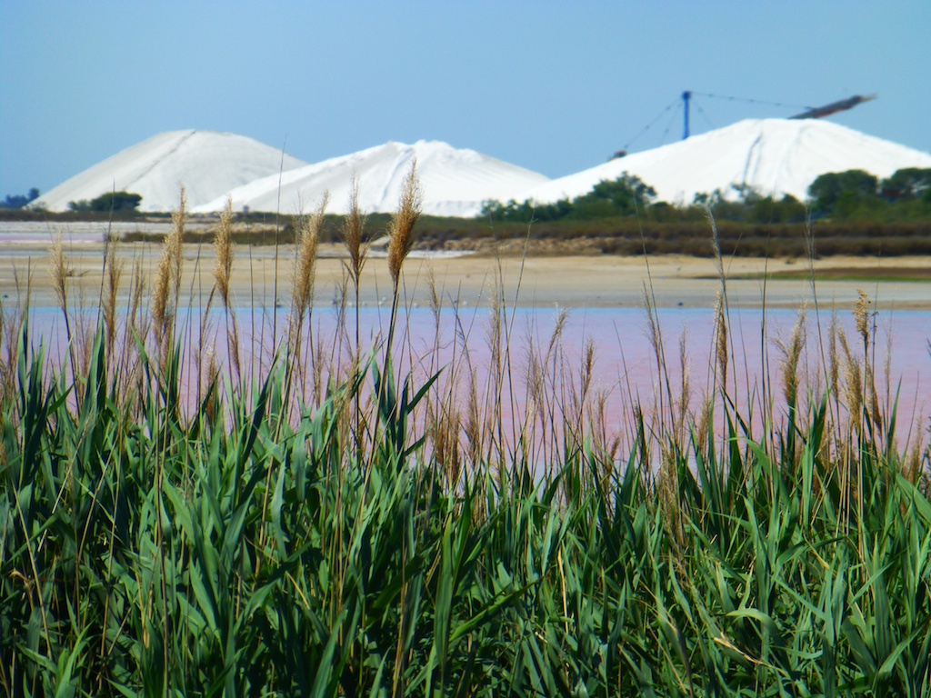 Salt at Aigues-Mortes, Camargue, France