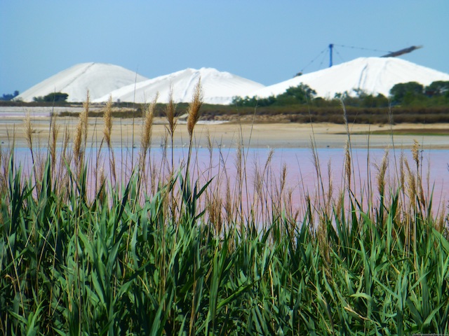 Travel Guide, Aigues Mortes, nr Uzes, Languedoc Roussillon, France