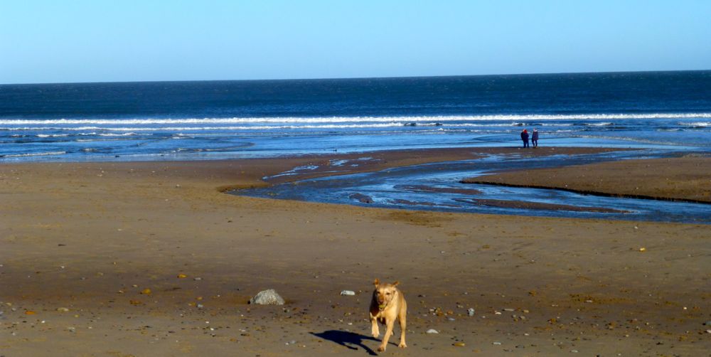 Sandsend beach, Whitby, North Yorkshire, UK