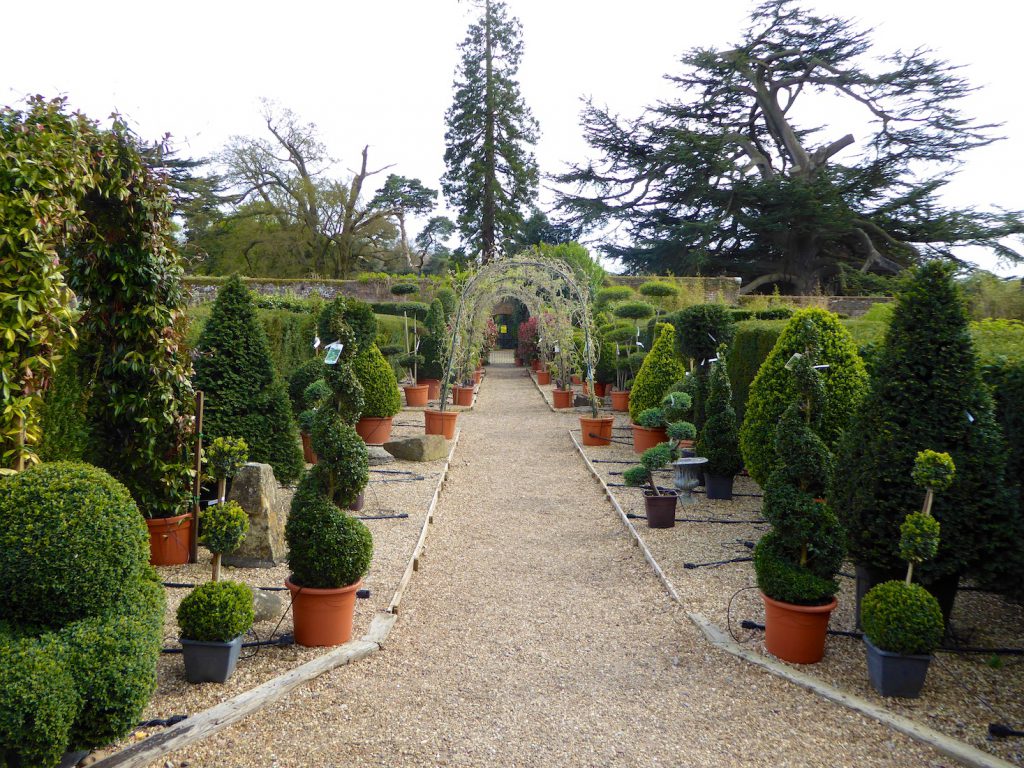 Springtime in England at Stubbings Garden Centre