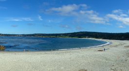 The beach in Carmel California, USA