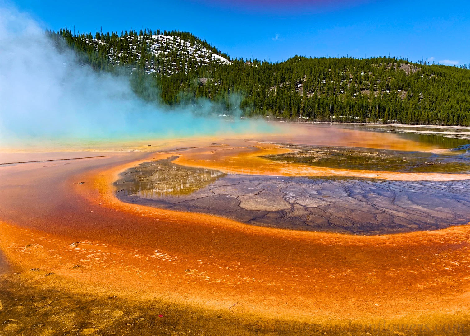 The colors by the Grand Prismatic Spring, Yellowstone National Park, USA