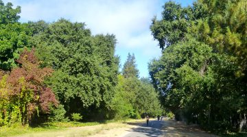 The Danville Iron Horse Trail, Danville, California, USA