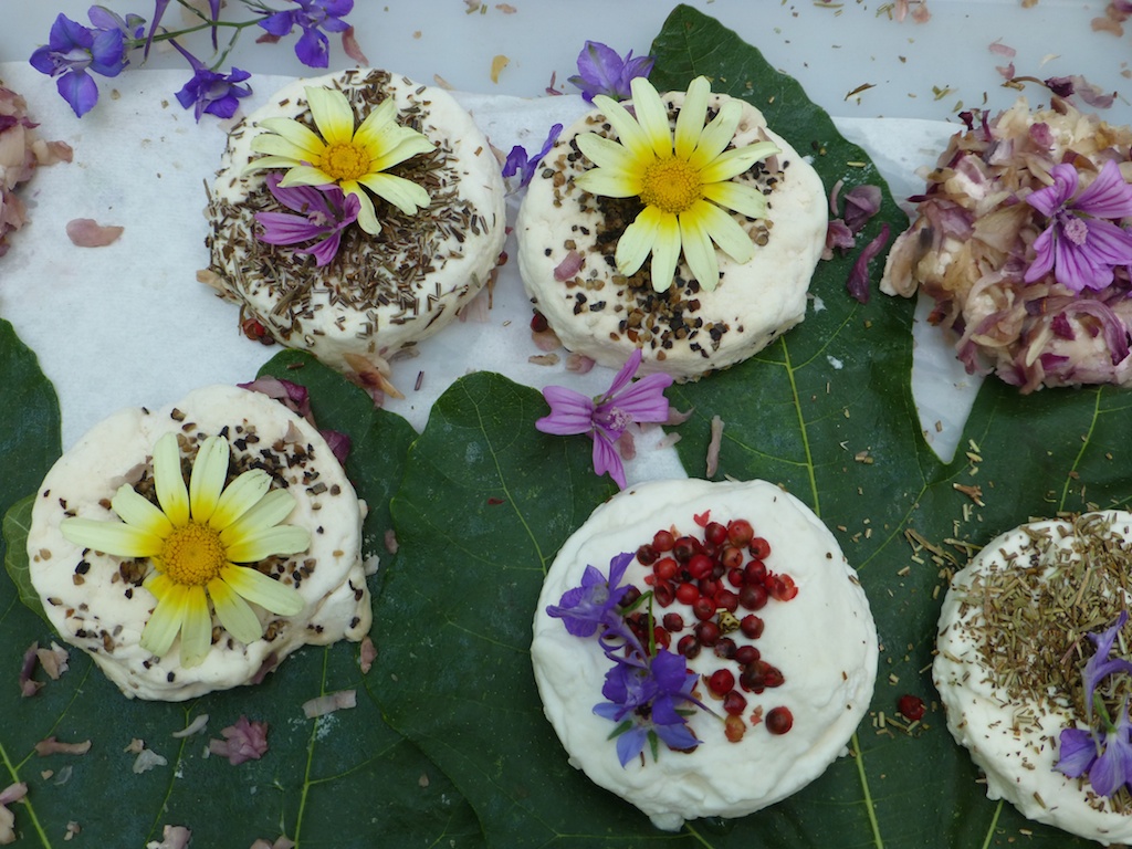 The Goats cheese at Wednesday Market in Uzes