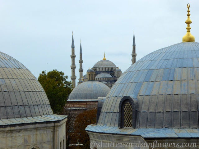 View of the Hagia Sophia Domes and the Blue Mosque, Istanbul, Turkey