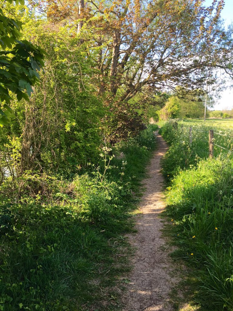 Springtime in England, tow path by River Thames in Sonning