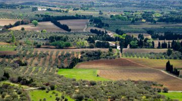 Valley 'Le Crau', the Roman 'Via Aurelia' from Les Baux-de-Provence