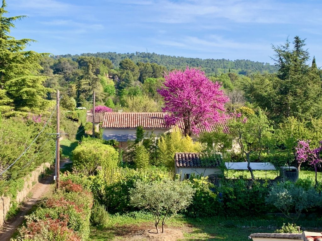 View from our house in Provence, Maison des Cerises, Lourmarin, Luberon, Vaucluse, Provence, France