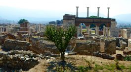 View over Basilica of St John near Ephesus,Turkey