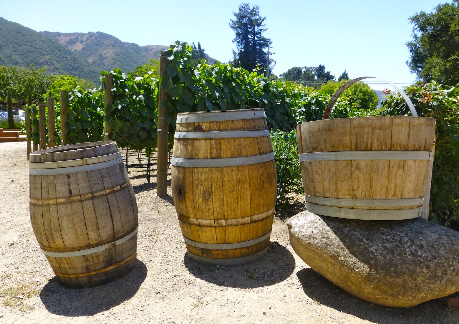 Wine tasting in Carmel Valley, California